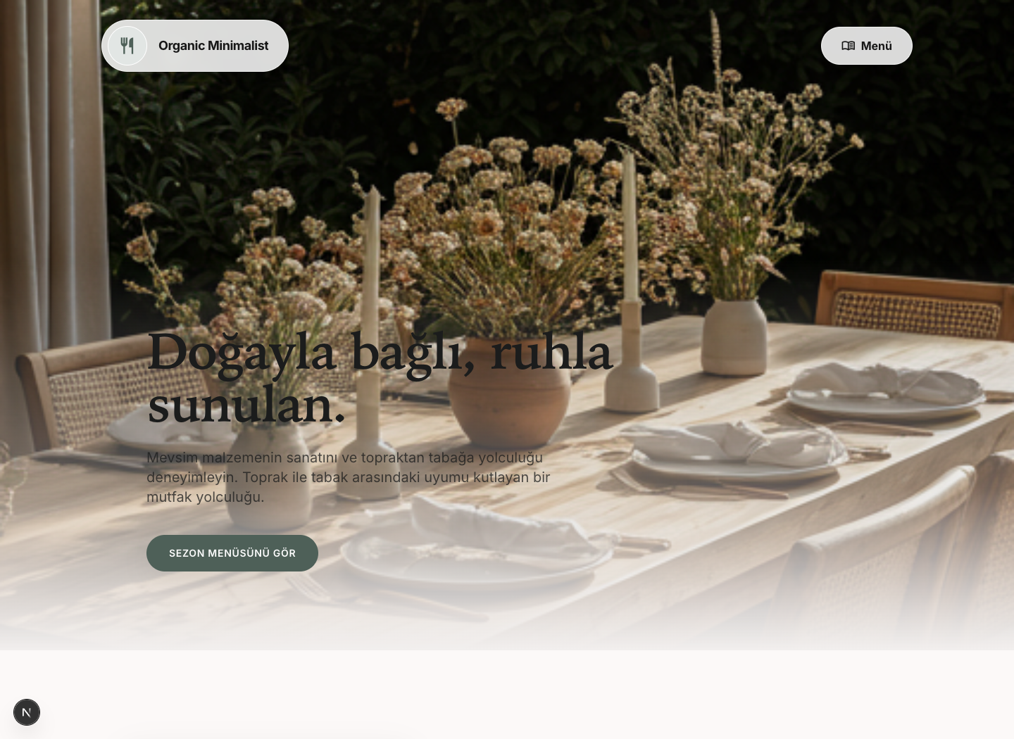 Organic Minimalist şablonu önizlemesi